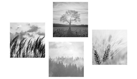 BILDERSET ZAUBER EINER SCHWARZ-WEISSEN LANDSCHAFT - BILDERSETS - BILDER