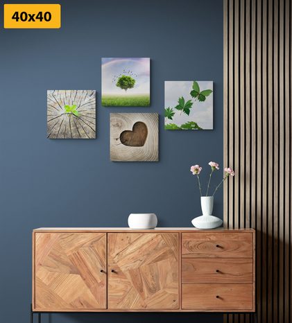 ΣΕΤ ΕΙΚΌΝΩΝ ΜΟΝΑΔΙΚΈΣ ΓΩΝΙΈΣ ΤΗΣ ΦΎΣΗΣ - ΣΎΝΟΛΟ ΠΊΝΑΚΕΣ - ΠΊΝΑΚΕΣ