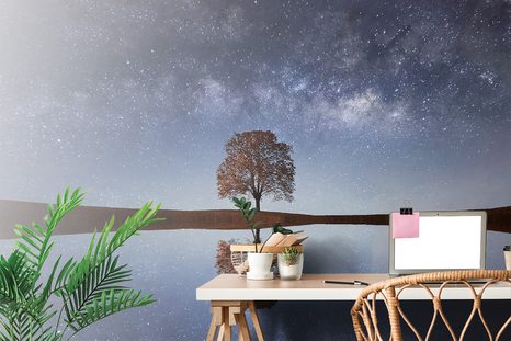 CARTA DA PARATI AUTOADESIVA – CIELO STELLATO SOPRA L'ALBERO SOLITARIO - CARTA DA PARATI AUTOADESIVE - CARTA DA PARATI