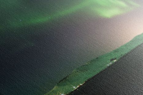 SLIKA NEOBIČAJNI ZELENI SIJ - SLIKE NARAVE IN POKRAJINE - SLIKE