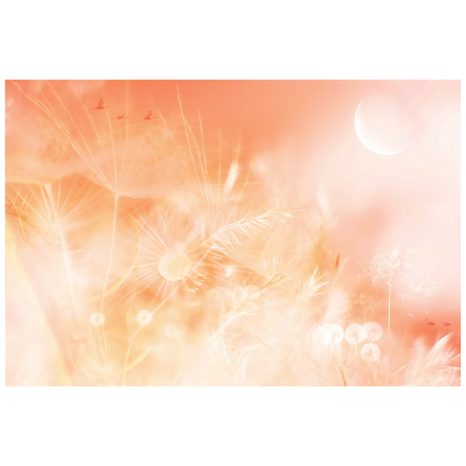 SAMOLEPÍCÍ TAPETA PAMPELIŠKA VE VÝCHODU SLUNCE PEACH FUZZ - SAMOLEPÍCÍ TAPETY - TAPETY