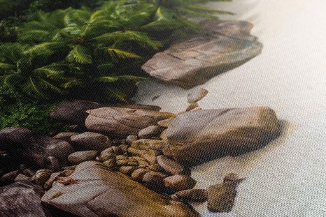 SLIKA OBALA SEJŠELOV - SLIKE NARAVE IN POKRAJINE - SLIKE