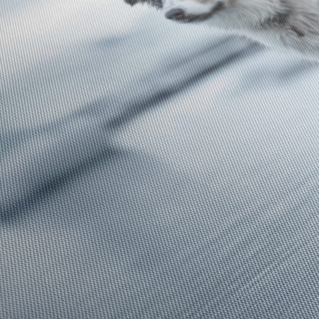 OBRAZ ZASNĚŽENÁ KRAJINA SE PSEM - OBRAZY PSI - OBRAZY