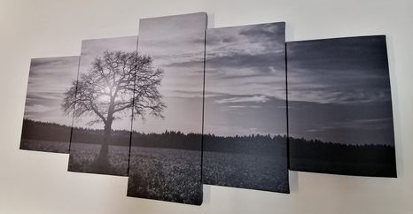 5 RÉSZES KÉK MAGÁNYOS FA FELETE FEHÉRBEN - FEKETE-FEHÉR KÉPEK - KÉPEK