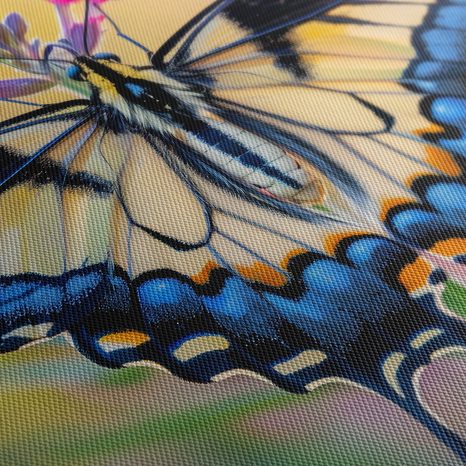 OBRAZ PESTROBAREVNÝ MOTÝL V PŘÍRODĚ - OBRAZY MOTÝLI - OBRAZY