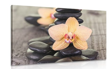 PICTURE OF YELLOW ORCHID AND ZEN STONES
