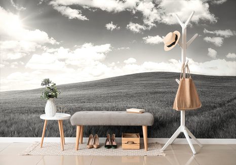 FOTOTAPETA NÁDHERNÝ DEN NA LOUCE V ČERNOBÍLÉM - ČERNOBÍLÉ TAPETY - TAPETY