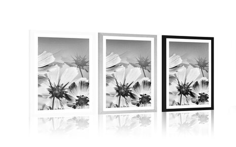 AFFICHE AVEC PASSE-PARTOUT – FLEURS DE JARDIN EN NOIR ET BLANC - NOIR ET BLANC - AFFICHES
