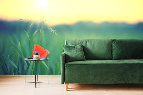 SAMOLEPÍCÍ FOTOTAPETA VLČÍ MÁK V TRÁVĚ - SAMOLEPÍCÍ TAPETY - TAPETY