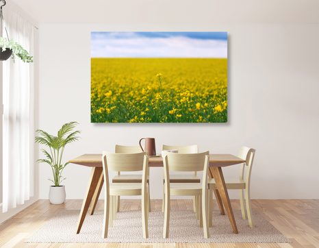 OBRAZ ŽLUTÉ POLE - OBRAZY PŘÍRODY A KRAJINY - OBRAZY