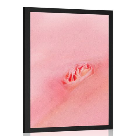 POSTER IN A PINK EMBRACE