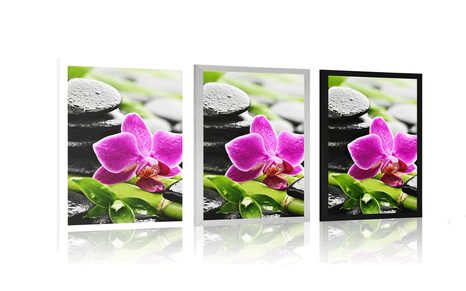 POSTER WELLNESS-STILLLEBEN MIT LILA ORCHIDEE - FENG SHUI - POSTER