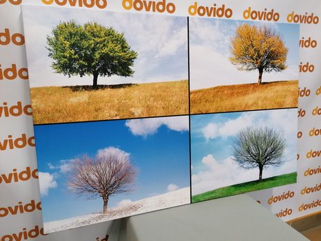 OBRAZ STROM V ROČNÝCH OBDOBIACH - OBRAZY PRÍRODY A KRAJINY - OBRAZY