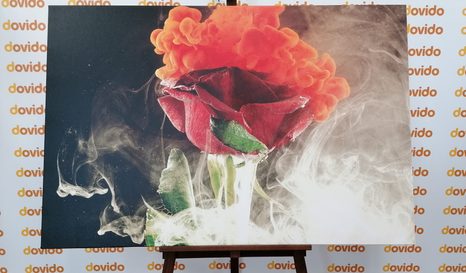 OBRAZ RŮŽE S ABSTRAKTNÍMI PRVKY - OBRAZY KVĚTŮ - OBRAZY