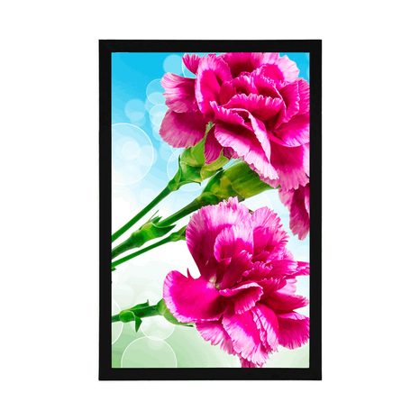 PLAKÁT KVĚT KARAFIÁTU - KVĚTINY - PLAKÁTY