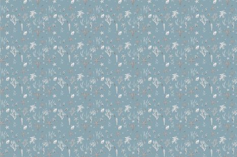 TAPETA ŽIVOT POD HLADINOU MOŘE - TAPETY PŘÍRODA - TAPETY