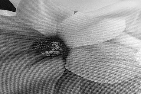 CANVAS PRINT BLACK AND WHITE MAGNOLIA ON AN ABSTRACT BACKGROUND - BLACK AND WHITE PICTURES - PICTURES