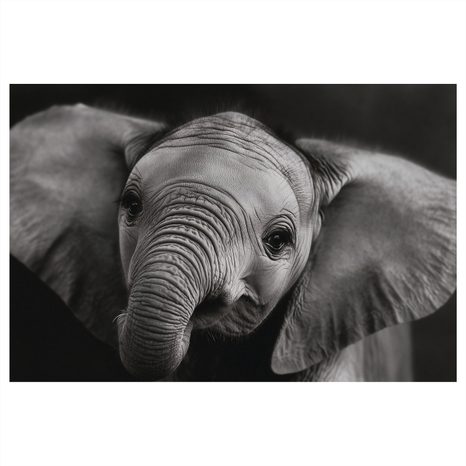 OBRAZ SLONÍ MLÁDĚ V DETAILU - OBRAZY SLONI - OBRAZY