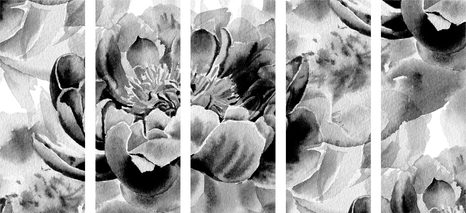 QUADRI 5 PEZZI – PEONIE IN BIANCO E NERO - QUADRI BIANCO E NERO - STAMPE E QUADRI