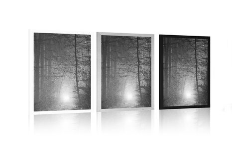 PLAGÁT SVETLO V LESE V ČIERNOBIELOM PREVEDENÍ - ČIERNOBIELE - PLAGÁTY