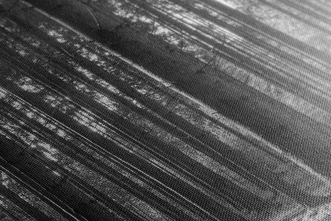 SLIKA JUTRO U ŠUMI U CRNO-BIJELOM DIZAJNU - CRNO-BIJELE SLIKE - SLIKE