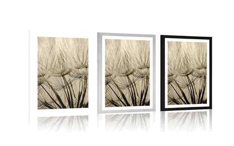 PLAKAT Z PASSE-PARTOUT NASIONA DMUCHAWCA W SEPIOWYM KOLORZE - CZARNOBIAŁE - PLAKATY