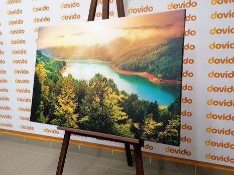 КАРТИНА НА ПЛАТНО – РЕКА В ЗЕЛЕНА ГОРА - КАРТИНИ НА ПРИРОДАТА И ПЕЙЗАЖИ - КАРТИНИ