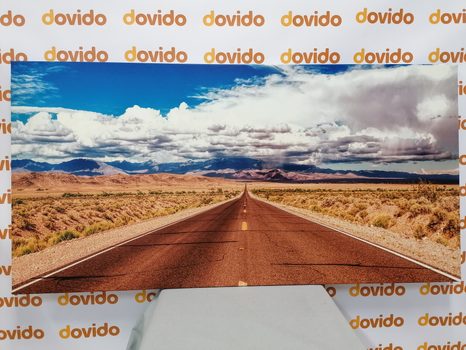 КАРТИНА НА ПЛАТНО – ПЪТ В ПУСТИНЯТА - КАРТИНИ НА ПРИРОДАТА И ПЕЙЗАЖИ - КАРТИНИ