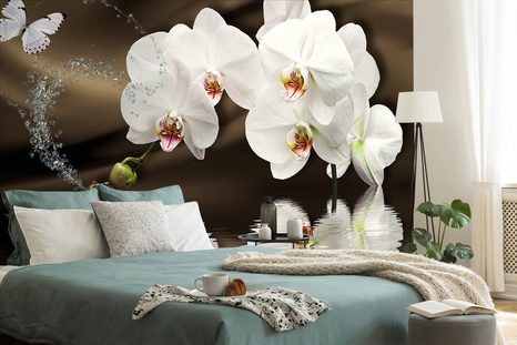 TAPETA ORCHIDEJ A MOTÝL - TAPETY KVĚTINY - TAPETY