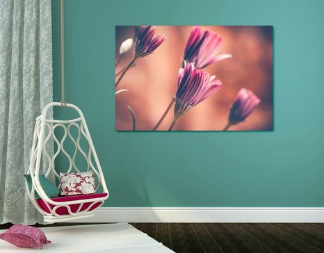 SLIKA NEŽNE ROŽNATE IVANJŠČICE - SLIKE ROŽ - SLIKE