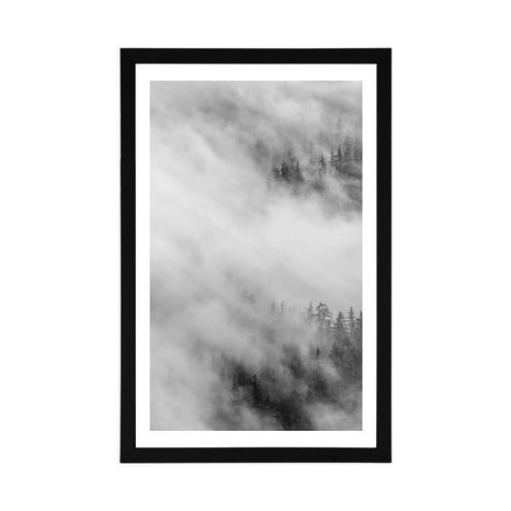 AFFICHE – FORÊT BRUMEUSE EN NOIR ET BLANC - NOIR ET BLANC - AFFICHES