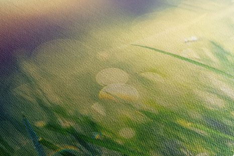 ΕΙΚΌΝΑ ΔΡΟΣΙΆ ΛΙΒΑΔΙΟΎ - ΠΊΝΑΚΕΣ ΦΎΣΗΣ ΚΑΙ ΤΟΠΊΟΥ - ΠΊΝΑΚΕΣ