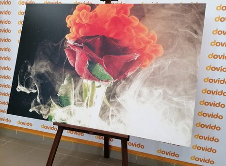 OBRAZ RŮŽE S ABSTRAKTNÍMI PRVKY - OBRAZY KVĚTŮ - OBRAZY