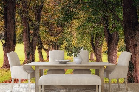 WALL MURAL TRAIL THROUGH THE AUTUMN FOREST - WALLPAPERS NATURE - WALLPAPERS