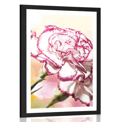 POSTER WITH MOUNT ELEGANT CARNATION - FLOWERS - POSTERS