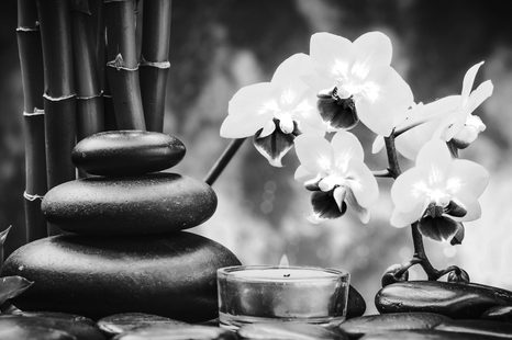 OBRAZ SPA ZÁTIŠÍ V ČERNOBÍLÉM PROVEDENÍ - ČERNOBÍLÉ OBRAZY - OBRAZY