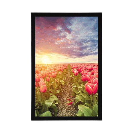 POSZTER NAPKELTE TULIPÁNOK FELETT - VIRÁGMINTÁS - POSZTEREK