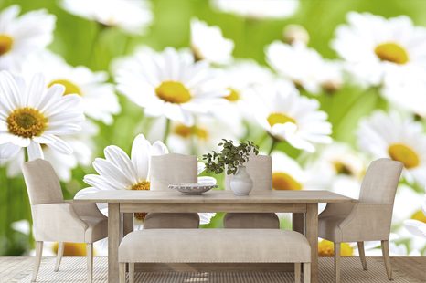 SELBSTKLEBENDE FOTOTAPETE FRÜHLINGSWIESE VOLL VON BLUMEN - SELBSTKLEBENDE TAPETEN - TAPETEN