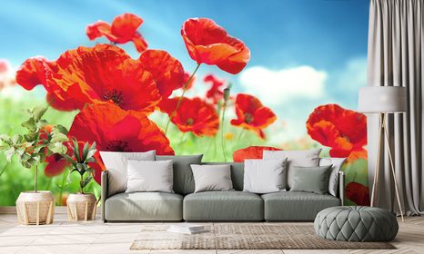 SELBSTKLEBENDE FOTOTAPETE MOHNBLUMEN AUF DER WIESE - SELBSTKLEBENDE TAPETEN - TAPETEN