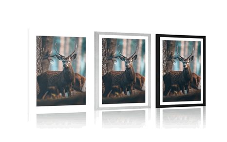 POSTER WITH MOUNT DEER IN THE FOREST - ANIMALS - POSTERS