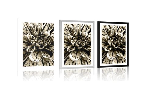 AFFICHE AVEC PASSE-PARTOUT – DAHLIA EXOTIQUE EN SÉPIA - NOIR ET BLANC - AFFICHES
