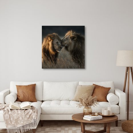 OBRAZ MAJESTÁTNÍ SÍLA PŘÍRODY - OBRAZY LVI A TYGŘI - OBRAZY