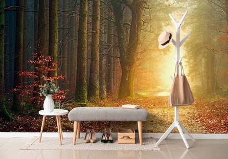 CARTA DA PARATI AUTOADESIVA – SENTIERO NEL BOSCO - CARTA DA PARATI AUTOADESIVE - CARTA DA PARATI