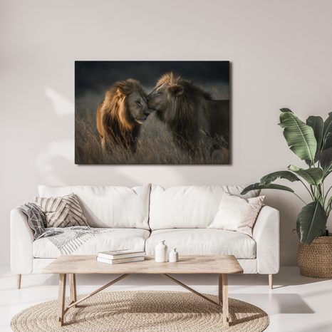 OBRAZ LVI V AFRICKÉ SAVANĚ - OBRAZY LVI A TYGŘI - OBRAZY