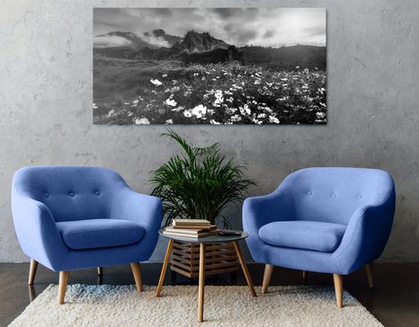 KÉP VIRÁGZÓ RÉT FEKETE FEHÉRBEN - FEKETE-FEHÉR KÉPEK - KÉPEK