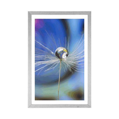 AFFICHE – GOUTTE DE ROSÉE SUR FOND COLORÉ - FLEURS - AFFICHES