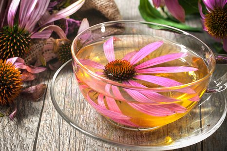 WANDBILD TASSE KRÄUTERTEE - BILDER VON ESSEN UND GETRÄNKEN - BILDER