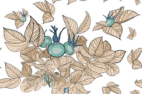 TAPETA PODZIMNÍ ZAHRADA - TAPETY PŘÍRODA - TAPETY