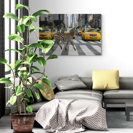 OBRAZ ZEBRA V NEW YORKU - DOVIDO CHALLENGE - OBRAZY