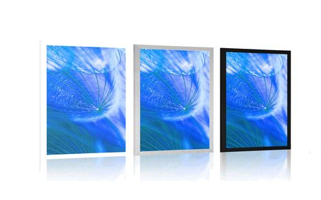 PLAKÁT KRÁSNÁ PAMPELIŠKA V MODRÉM PROVEDENÍ - KVĚTINY - PLAKÁTY